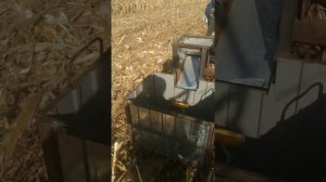 уборка кукурузы минитрактором синтай 160