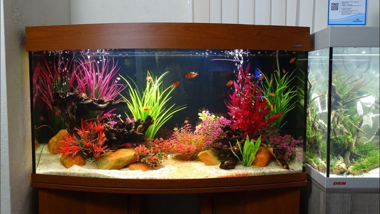 Дизайн аквариумов в салоне Аква Лого - аквариум «Аватар» #2 смотреть онлайн