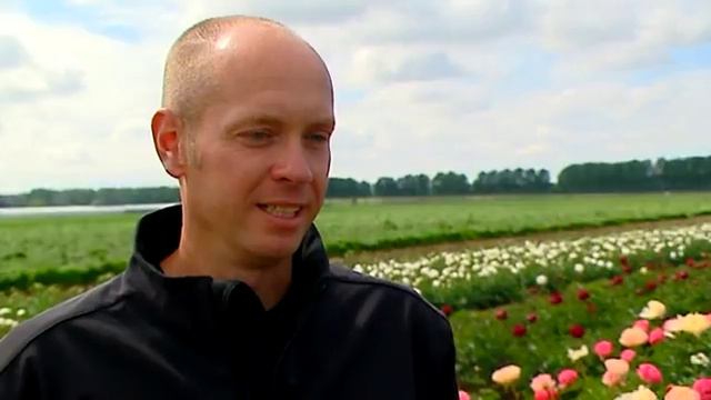 warmerdam paeonia Webfile High WideScreen смотреть онлайн