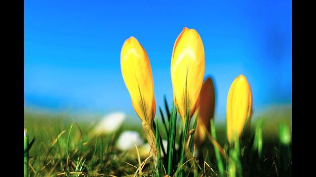 Pictures nikon d80 nikon d90 nikond7000 Timypenburg смотреть онлайн