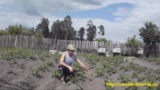 Рыхление междурядий. Окучивание картофеля, зачем окучивать картофель. смотреть онлайн