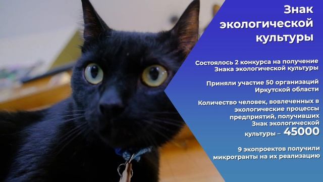 Как, где и зачем мы (Подари Планете Жизнь) потратили более 10 мнл.рублей смотреть онлайн