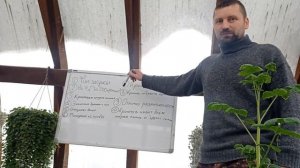 КРОЛИКИ В ЯМЕ - ПЛЮСЫ И МИНУСЫ!!!