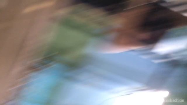 Monkey stole my phone / Обезьяна украла телефон смотреть онлайн