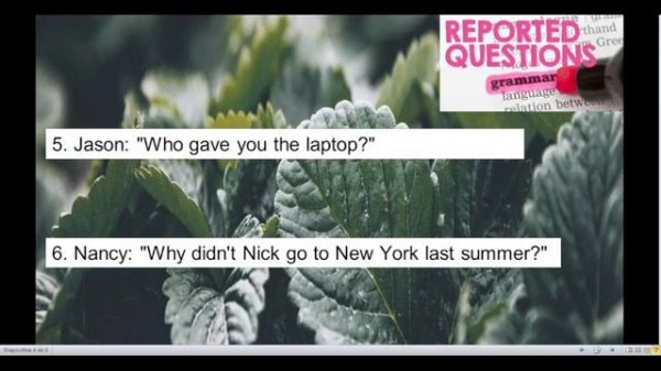 Reported Speech: Questions - Exercise