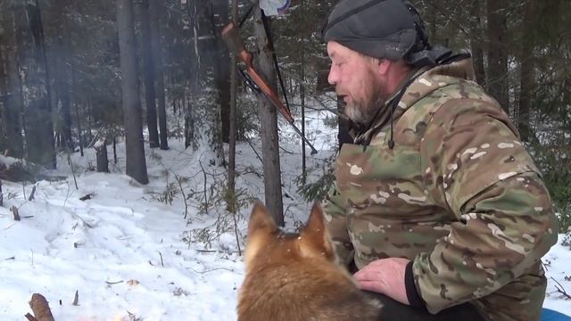 Промысел 2020 в лесу найдётся кто хитрей