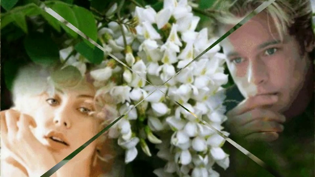 Белой акации гроздья душистые -Людмила Сенчина смотреть онлайн