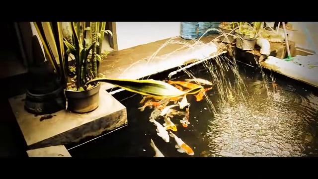 Nikon D3100 + AF-S 18-105mm Video Test HD смотреть онлайн