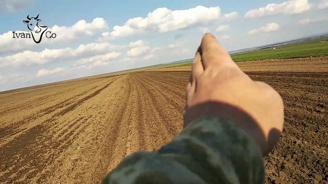 Посев кукурузы картофеле сажалкой БОМЕТ? Минитрактором - Shifeng SF-354 смотреть онлайн
