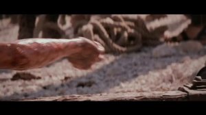 Вдоль по Виа Долороса