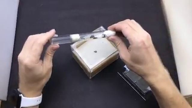 Обзор Myrmeleontidae (Личинка муравьиного льва) смотреть онлайн