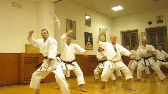 Sensei Kanani reunion with Shirai Sensei in Milano, Italy 2012 смотреть онлайн