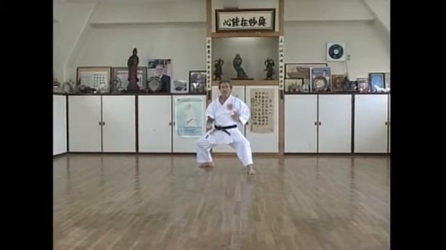 Seiunchin (制 引 戦 - Attack, Conquer, Suppress) СЭЙЮНЧИН смотреть онлайн