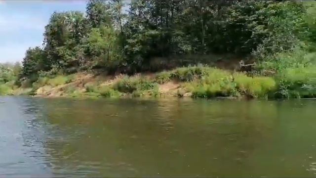 Рыбалка нахлыстом ловля голавля река Сим смотреть онлайн