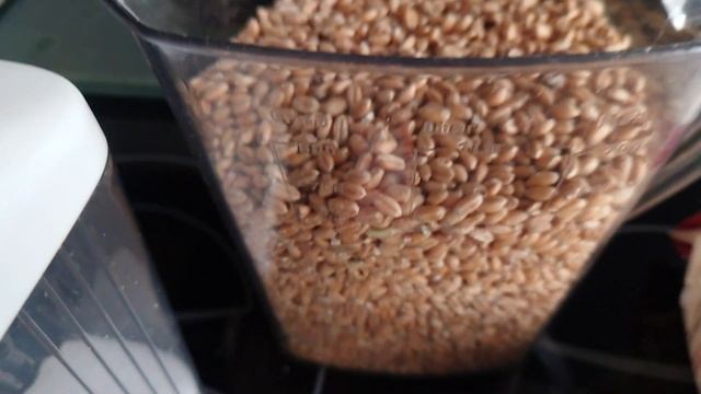 Brot ? zu Hause selbst zu backen, liegt im Trend: Mit Brotbackautomaten geht es besonders einfach ? смотреть онлайн