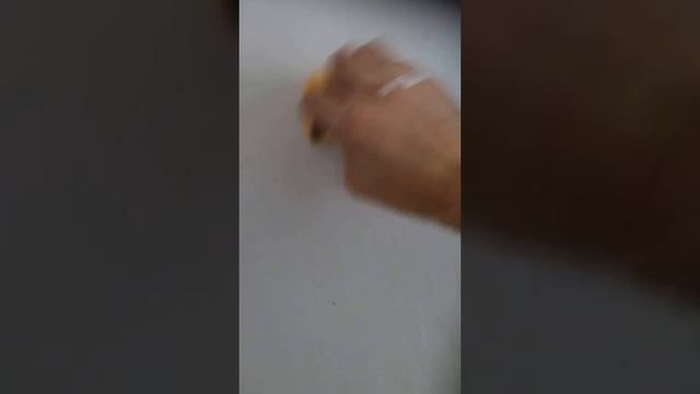 #Как шпаклевать самому под обои на 100лв мастерства?