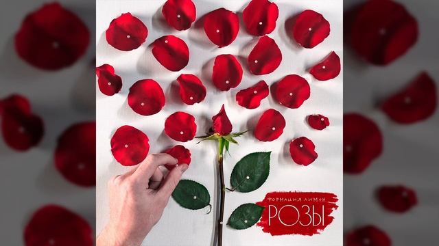 Формация Лимон - Розы (2021) смотреть онлайн