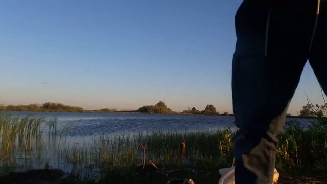 ПОЙМАЛ ЗОЛОТУЮ РЫБКУ смотреть онлайн