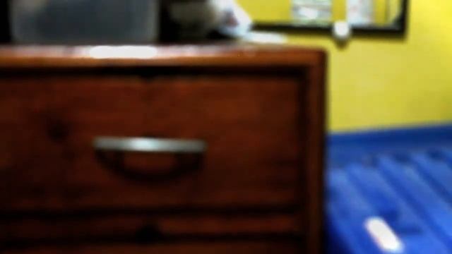 My New Canon 1100D