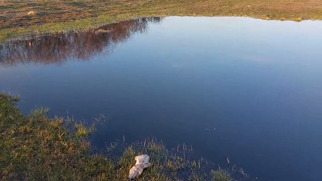 Пруд возле дома СВОИМИ РУКАМИ! Обзор моего пруда... смотреть онлайн
