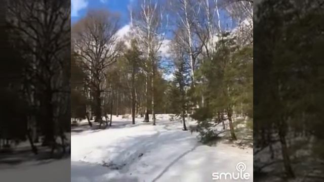 Зима смотреть онлайн