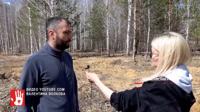 Полиция Курчатовского района начала уголовное расследование по факту незаконной вырубки деревьев смотреть онлайн