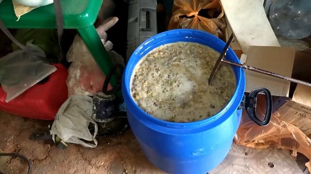 Готовлю вино из белого винограда.2023 год.