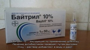 Для профилактики и лечения — Байтрил 10, инструкция по применению для птиц