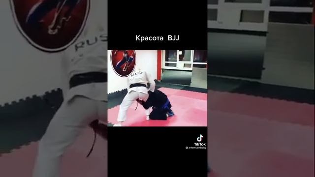 джиу-джитсу