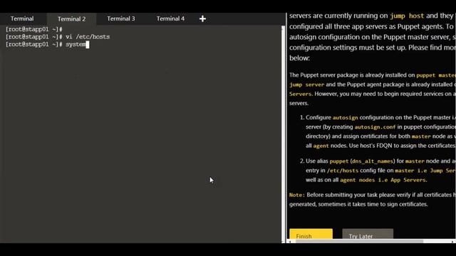 Setup Puppet Certs Autosign if not then Manually Sign Certs in easy steps смотреть онлайн