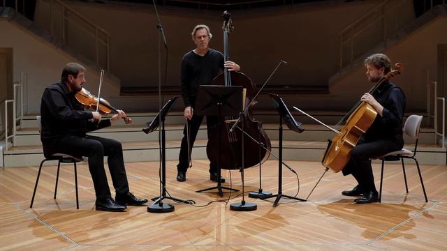 J. S. Bach – Goldberg Variations: No.29 смотреть онлайн