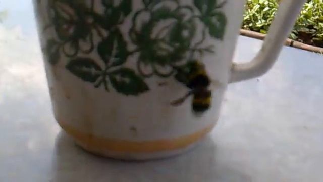 Чумовой шмель