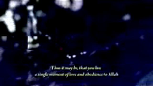 They said it .. he is the best video ever .. It is really well смотреть онлайн