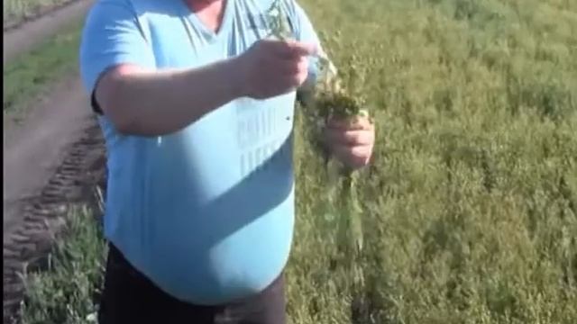 Нутривант плюс Масличный смотреть онлайн