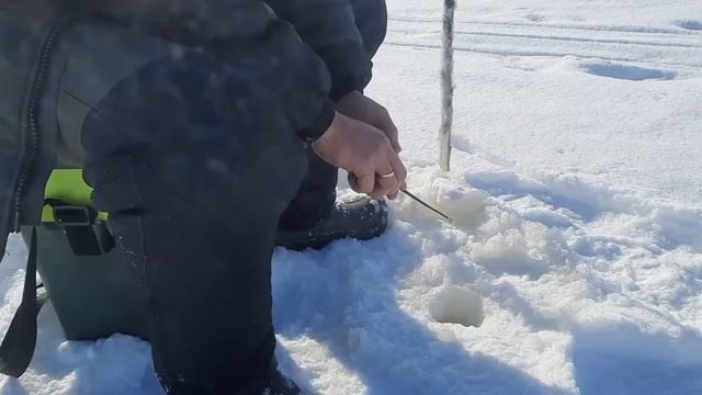 Рыбалка в Коми / Рыбалка на озере Кадам / Окуни - кочегары? смотреть онлайн