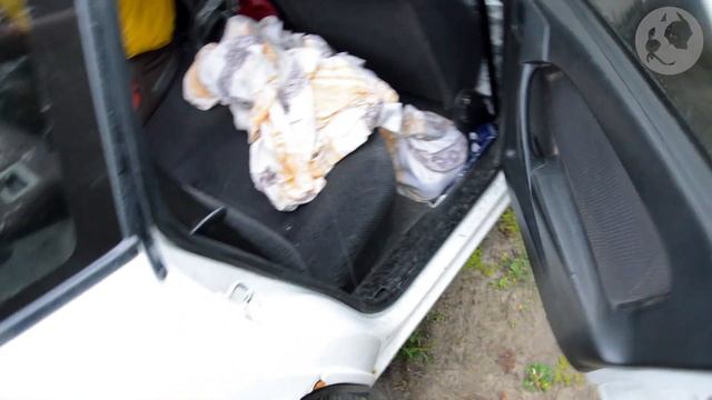 Спасение выдры