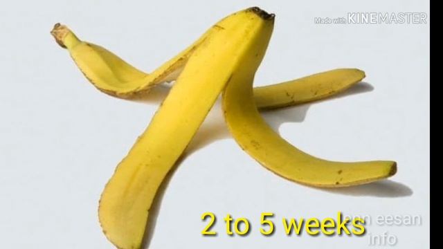 We are destroying our planet EARTH | Save earth | Tamil. смотреть онлайн