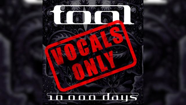Vocals Only : Tool - The Pot (Studio Version) смотреть онлайн