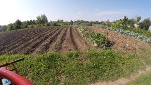 Одноколесный мотокультиватор МК-50\1