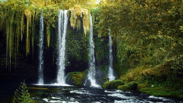 If you want to buy a house, watch it... смотреть онлайн