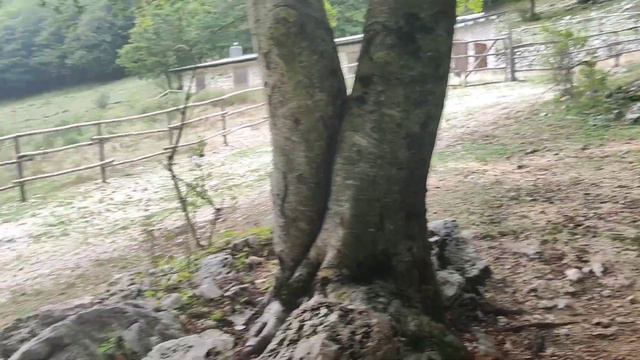 По следам Святого Франциска. Леса рядом с городом Риети, пещерная капелла смотреть онлайн