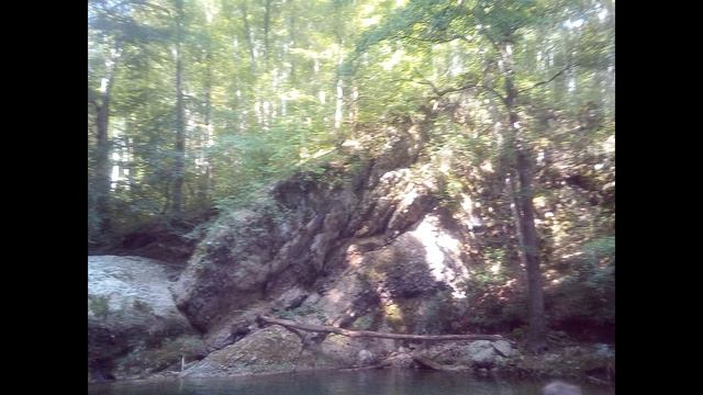 "Ореховая щель" - рассказ Николая Ивеншева из книги "Панель" смотреть онлайн