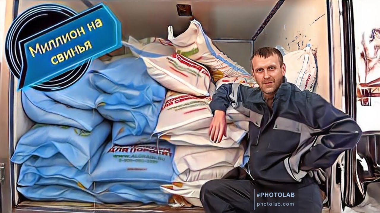 Почему мои свиноматки весят мало и сидят на диете! Разгрузил 2 тонны кормов! смотреть онлайн
