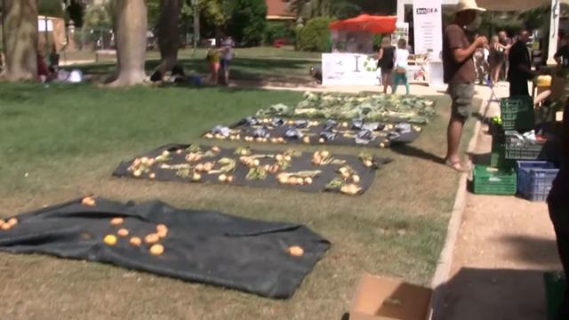 Palo Market Fest. Jardines de Viveros, Valencia @PaloAltoMarket смотреть онлайн