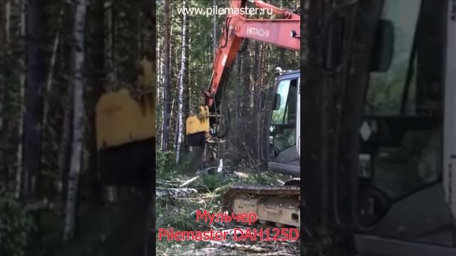 Работа мульчера Pilemaster DAH125 с деревьяви до 350 мм смотреть онлайн