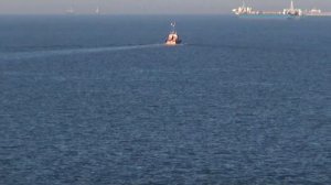 Малышев Валерий  Тополь