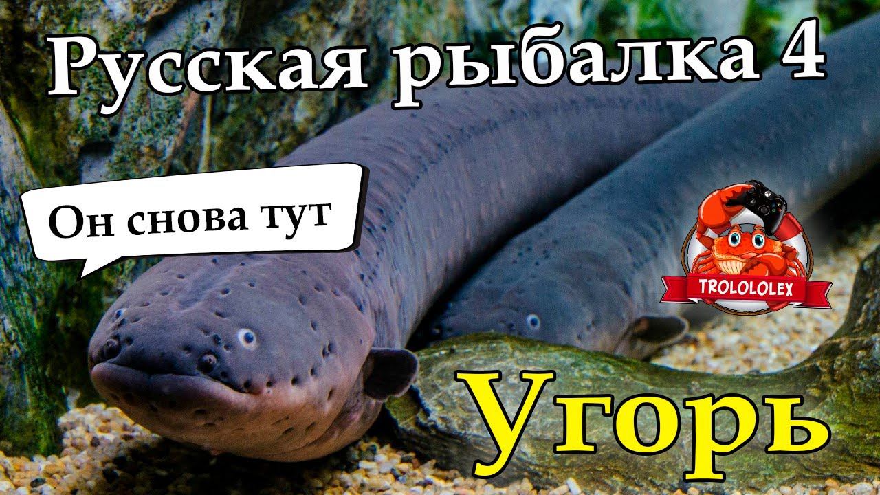 Русская рыбалка 4. Угорь на старом остроге. смотреть онлайн