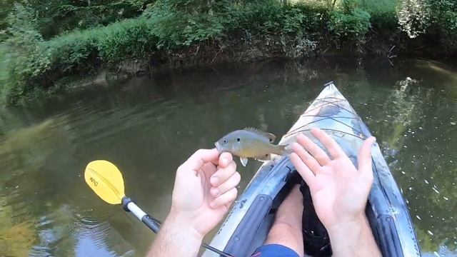 Kayak Panfish Mission (Cincinnati, Ohio) смотреть онлайн