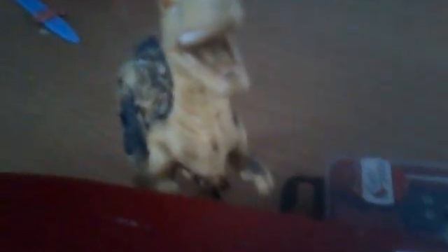 Прикол задачка про землекопов. Тока звук делайте на макс. плохо слышно!!!