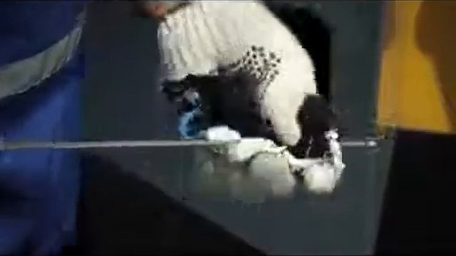 XCMG ZL50G фронтальный погрузчик 5т  (2013). Технические особенности